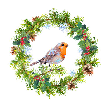 Xmas wreath with robin bird, snowflakes. Winter watercolor - christmas tree branches, holly, cones.