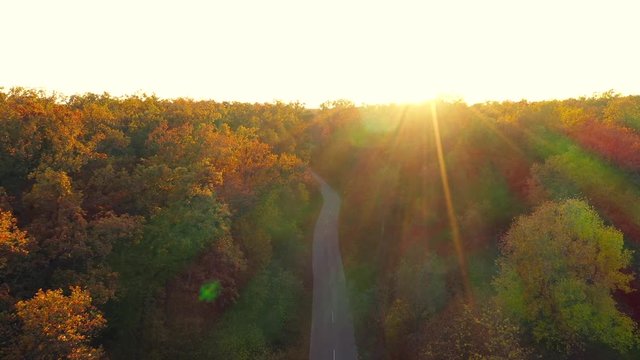 Aerial view on car driving through autumn forest road. Scenic autumn landscape