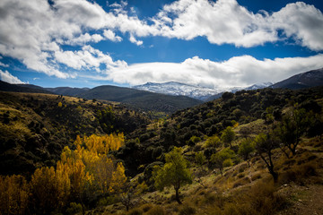 Granada, Spain; November 07, 2018: Forest of Granada called the Enchanted Forest or Route of the Dehesa del Camarate in autumn