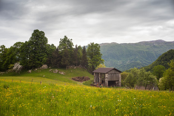 Obraz premium Typical Slovenian Farm house