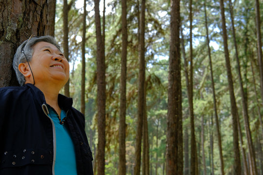 Elder Woman Resting In Pine Tree Forest. Elderly Female Relaxing In Park. Senior Leisure Lifestyle Outdoors.