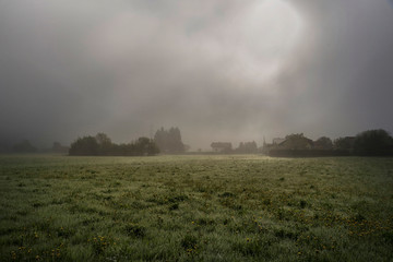 Fototapeta premium Wiese nach dem Regen