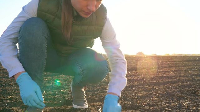 Female farmer puts a seedling prototype in the ground