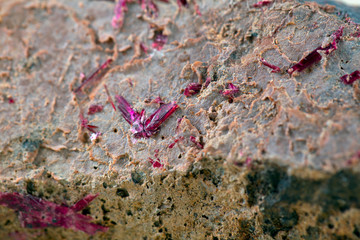 Fine purple Erythrite mineral also called Cobalt Bloomfrom Bou Azzer, Ouarzazate Province, Morocco