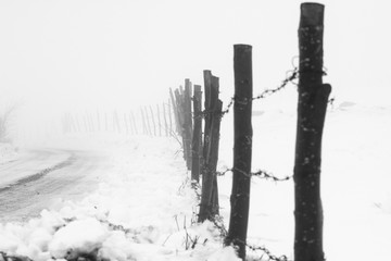 Foggy winter road in rural area