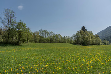 Frühling im Gailtal