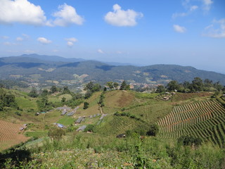 Fototapeta na wymiar View of a village on a clear day