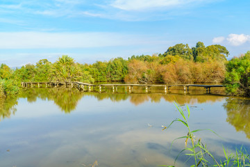 Elevated footpath over the water in En Afek nature reserve