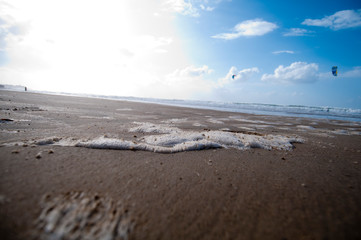 waves