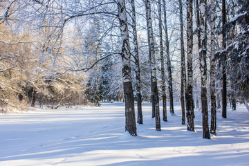 Winter landscape in clear weather. Morning bright sun. Snow plays shine. Frosty Snow Park