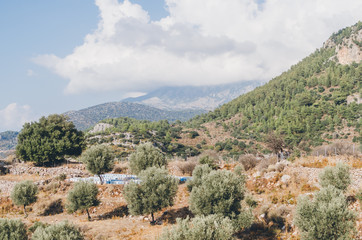 Fototapeta na wymiar Landscape with mountain and beehives, Fethiye, Antalya, Turkey