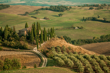 Italian villa surrounded by cypress trees in the middle of green vineyards hills of Tuscany.