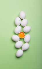 White eggs and eggs on the green background