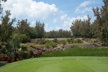 Decorated geen golf course background of forest