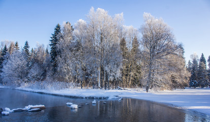 Obraz na płótnie Canvas Winter landscape in clear weather. Morning bright sun. Snow plays shine. Frosty Snow Park