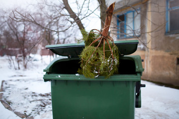 End of Christmas. Used and abandoned cutted fir tree in garbage bin waits for collection by by...