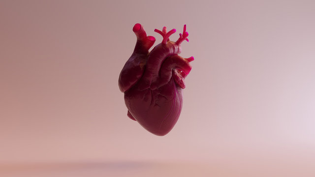 Pink Anatomical Heart 3d illustration 3d render