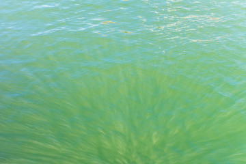 abstract sea water background , sunlight reflected 
