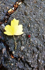 Макромир вокруг нас