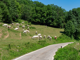 Road to Colle Fauniera, Piedmont