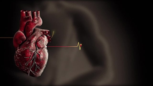 Heart and heart beat pulse video for medical apps and websites