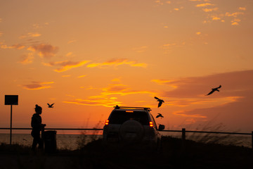Fototapeta na wymiar silhouette landscape at sunset orange lights 4x4 birds flying and a woman