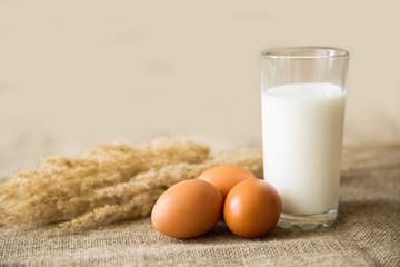 Milk in glass and chicken eggs on light brown textile background. Healthy eating