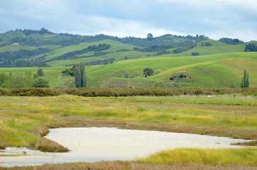 Wetlands and hills near Miranda, North Island, New  Zealand