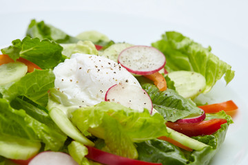 fresh salad
