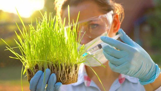 Woman scientist in goggles and a mask examines a sample of soil and plants