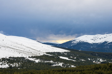Snowy mountains and pine forest with cloudy sky at sunset