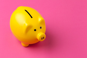 piggy bank on color background