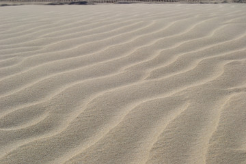 Fototapeta na wymiar Landscape of the dunes at Lancelin In Perth Australia at sunset sand blue sky