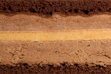 Close-up slice of cake, delicious cake