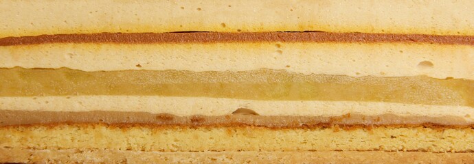 Fototapeta premium Close-up slice of cake, delicious cake