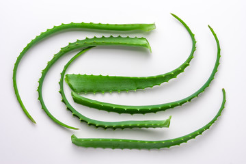 Cut aloe leaves put together on white background