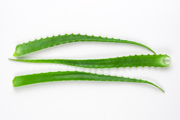 Cut aloe leaves put together on white background