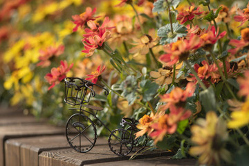 Fototapeta na wymiar オールドレンズで撮る秋の花