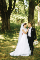 Happy couple walk in the park in their wedding day. Groom and bride