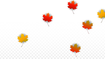 September Vector Background with Golden Falling Leaves. Autumn Illustration with Maple Red, Orange, Yellow Foliage. Isolated Leaf on Transparent Background. Bright Swirl. Suitable for Posters.