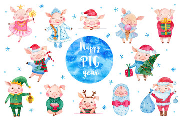 Set of cute watercolor pig cartoon characters.