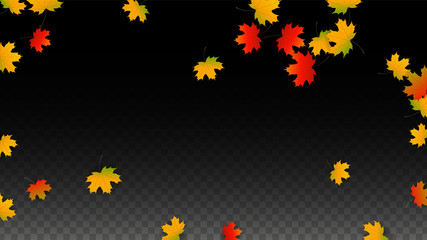 September Vector Background with Golden Falling Leaves. Autumn Illustration with Maple Red, Orange, Yellow Foliage. Isolated Leaf on Transparent Background. Bright Swirl. Suitable for Posters.
