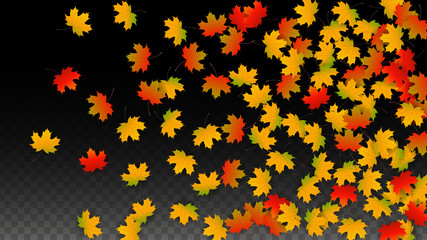 September Vector Background with Golden Falling Leaves. Autumn Illustration with Maple Red, Orange, Yellow Foliage. Isolated Leaf on Transparent Background. Bright Swirl. Suitable for Posters.