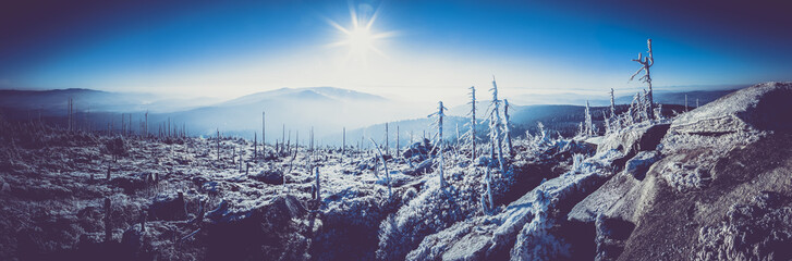 Beautiful panoramic Alpine landscape in sunset light.
