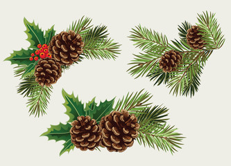 Vector collection branches of Christmas tree with pine cone