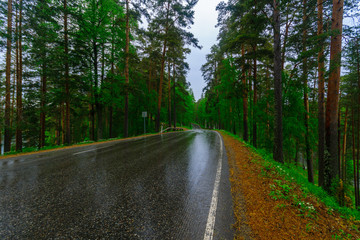 Obraz premium Road and forest in the Punkaharju ridge