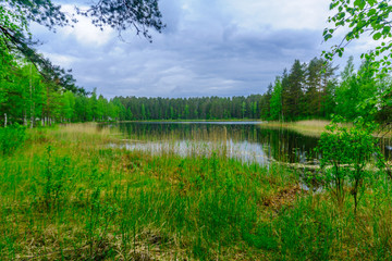 Landscape of lakes and forest along the Punkaharju ridge