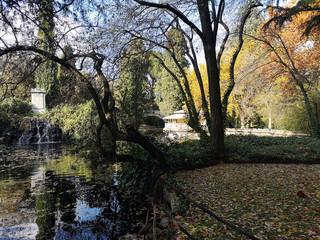 Autumn colorful November landscape. Autumn park with bare trees and dry fallen autumn leaves.
