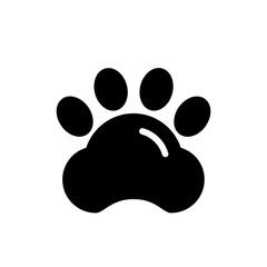 zoology icon vector glyph style