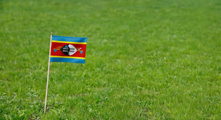 Eswatini flag. Photo of  Eswatini flag on a green grass lawn background. Close up of national flag...